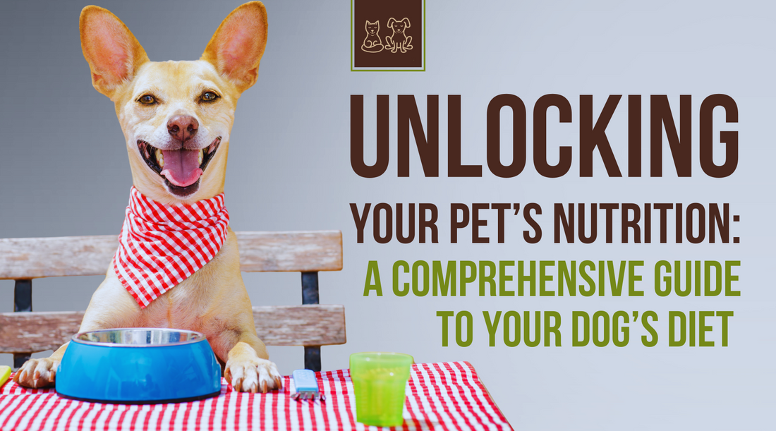 Unlocking the Secrets of Canine Nutrition: A Comprehensive Guide to Your Dog's Diet