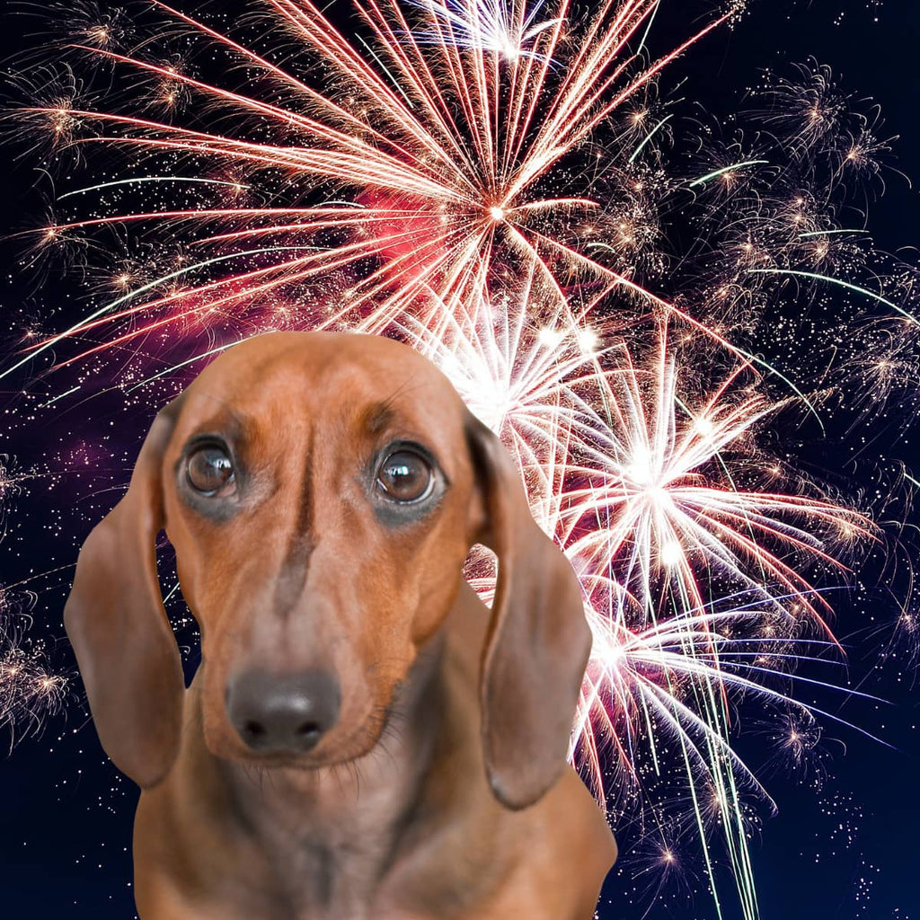 Help your dog during fireworks